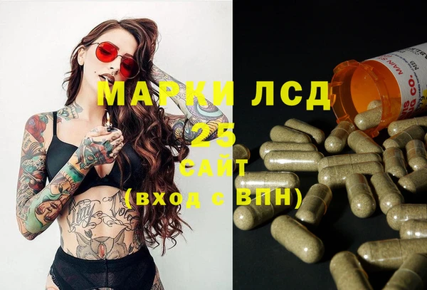 стафф Медвежьегорск