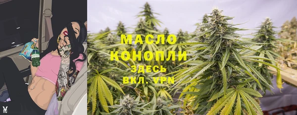 шишки Кострома